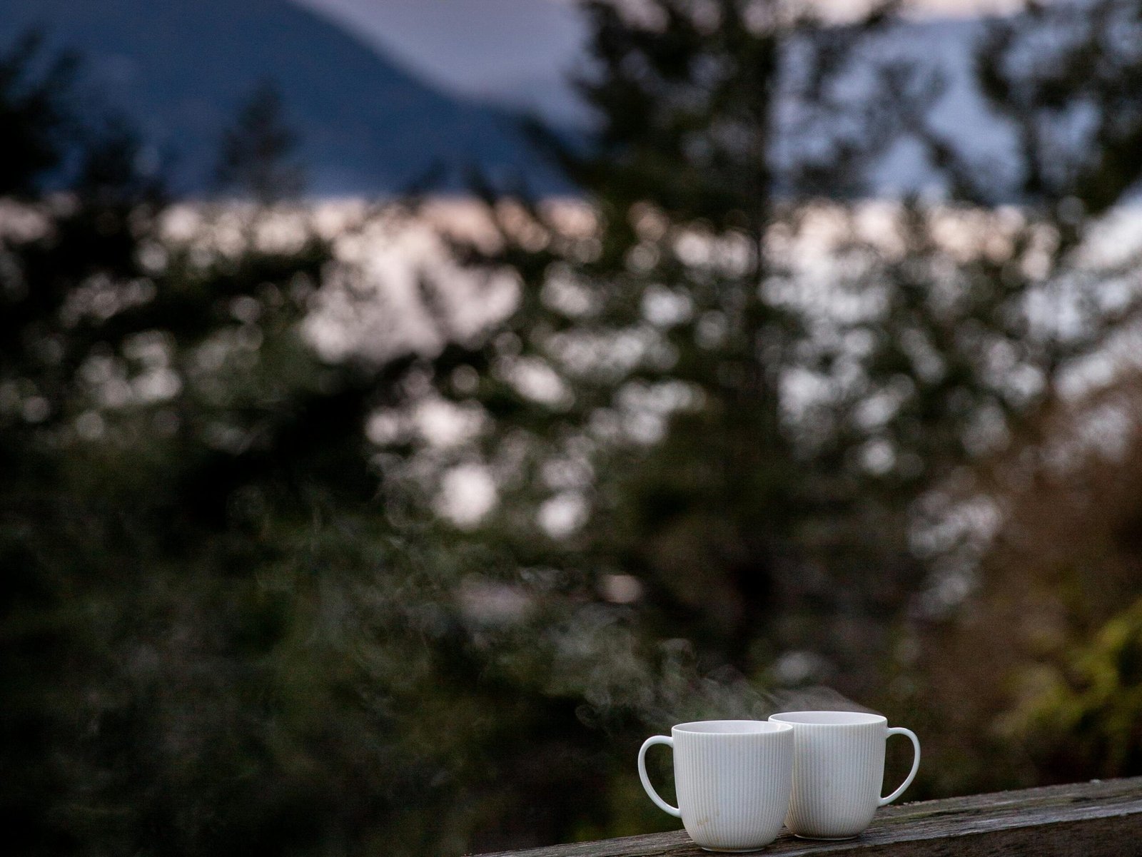  Solar Powered Coffee Maker Outdoors